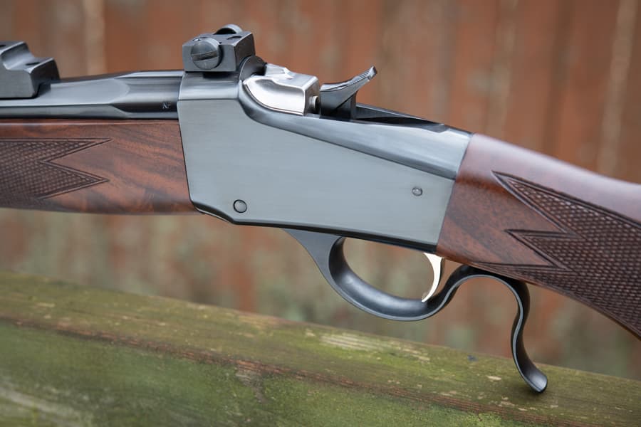 Photo by Robert Wade